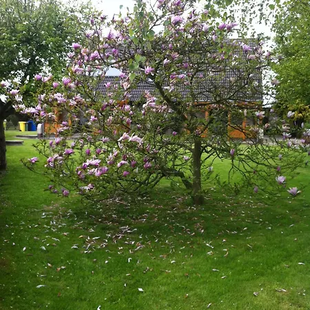 Kastenmueller * Westerdeichstrich